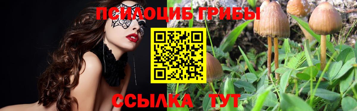 Галлюциногенные грибы Magic Shrooms  Вход с VPN  Звенигород 